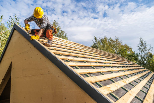 Best Roof Maintenance Services  in Liberty City, TX